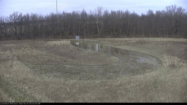 Cell 4_24-03-25_15-50-38-50