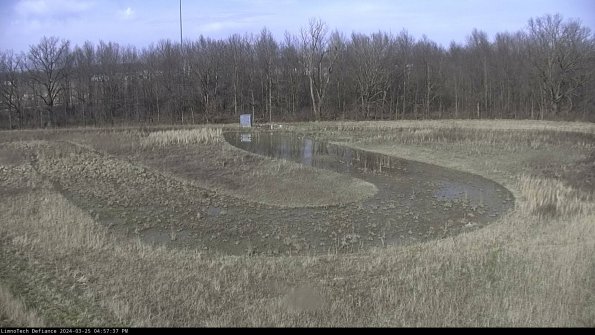 Cell 4_24-03-25_16-57-37-51