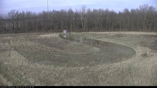 Cell 4_24-03-25_17-31-06-53