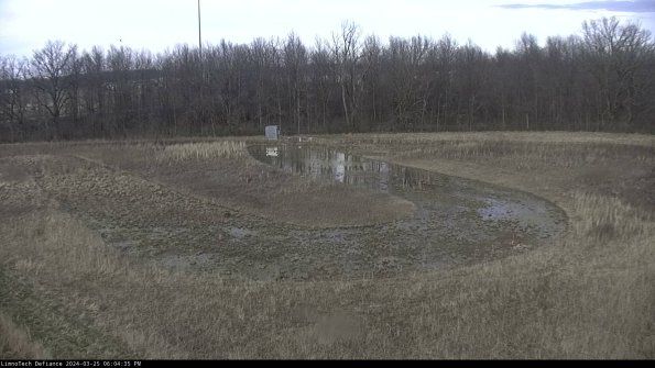 Cell 4_24-03-25_18-04-35-51