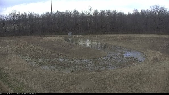 Cell 4_24-03-25_18-38-05-53