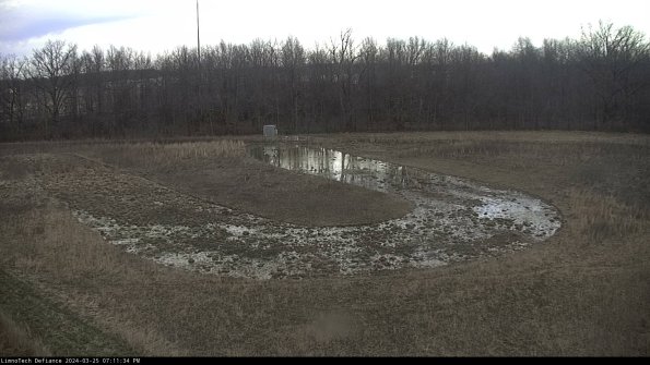 Cell 4_24-03-25_19-11-34-52