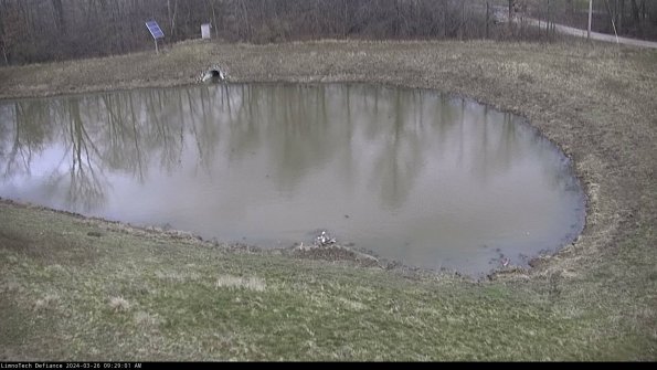 Basin Right_24-03-26_09-29-01-88