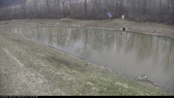 Basin_24-03-26_11-42-28-98