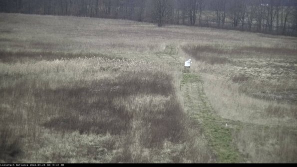 Cell 1 to 2_24-03-26_08-19-41-90