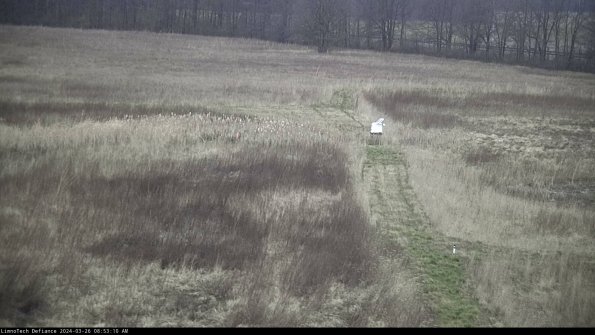 Cell 1 to 2_24-03-26_08-53-10-89