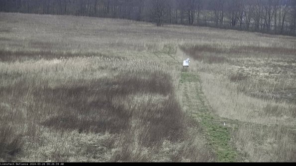 Cell 1 to 2_24-03-26_09-26-39-90