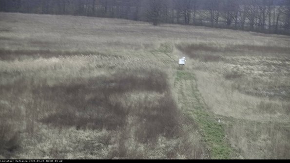 Cell 1 to 2_24-03-26_10-00-09-92