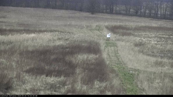 Cell 1 to 2_24-03-26_10-33-38-87