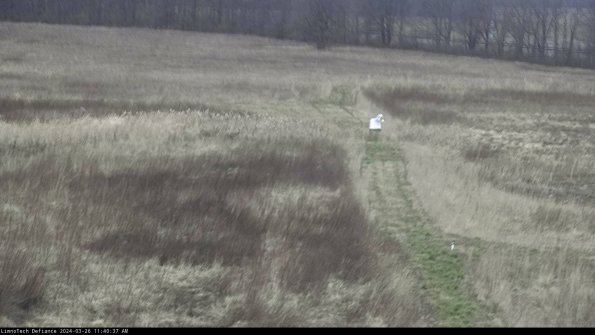 Cell 1 to 2_24-03-26_11-40-37-87