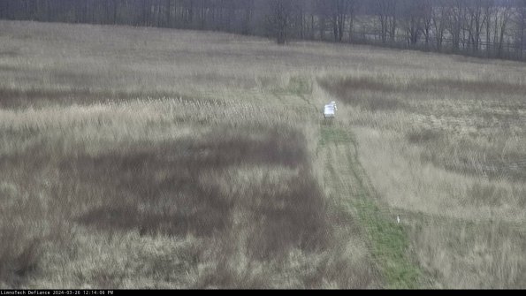 Cell 1 to 2_24-03-26_12-14-06-89