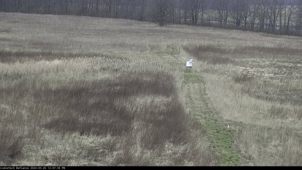 Cell 1 to 2_24-03-26_12-47-36-87