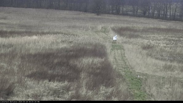 Cell 1 to 2_24-03-26_15-01-33-87