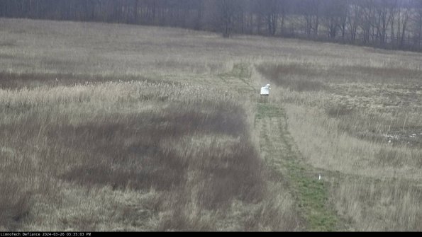 Cell 1 to 2_24-03-26_15-35-03-86