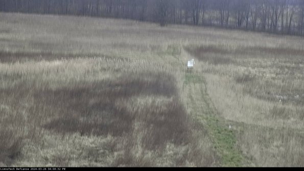 Cell 1 to 2_24-03-26_16-08-32-88