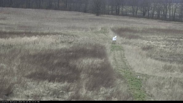 Cell 1 to 2_24-03-26_17-15-31-88