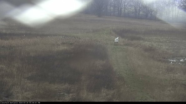 Cell 1 to 2_24-03-26_17-49-01-90