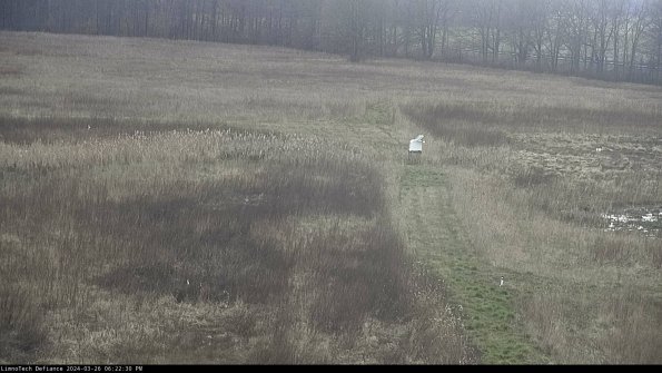 Cell 1 to 2_24-03-26_18-22-30-85