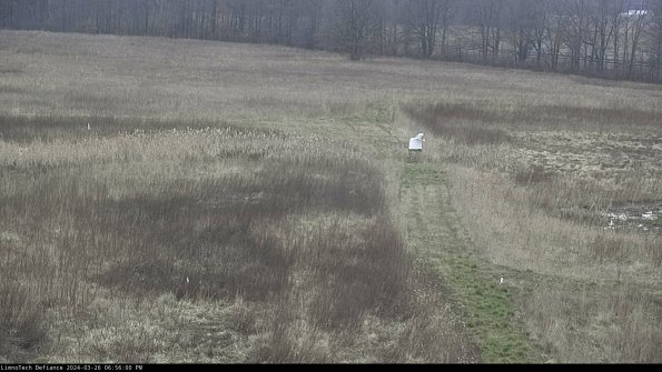 Cell 1 to 2_24-03-26_18-56-00-90