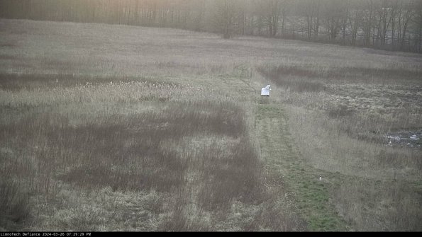 Cell 1 to 2_24-03-26_19-29-29-88