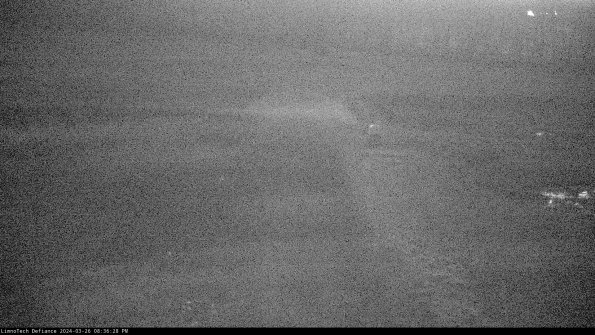 Cell 1 to 2_24-03-26_20-36-28-88