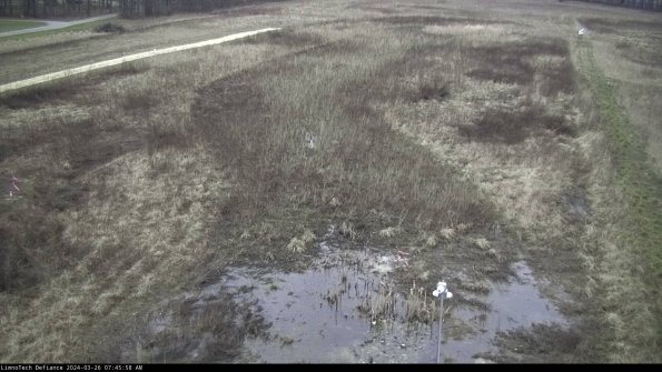 Cell 1_24-03-26_07-45-58-95