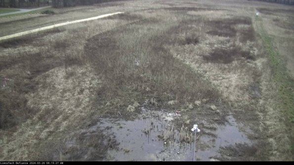 Cell 1_24-03-26_08-19-27-89