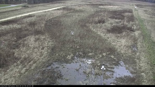 Cell 1_24-03-26_09-26-25-89