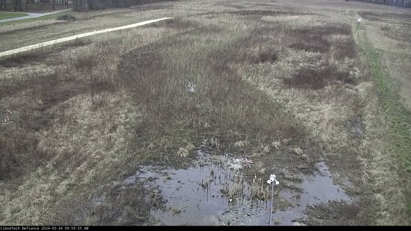 Cell 1_24-03-26_09-59-55-87