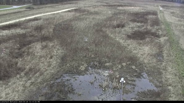 Cell 1_24-03-26_12-13-52-87