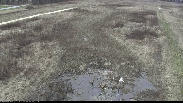 Cell 1_24-03-26_12-47-22-86