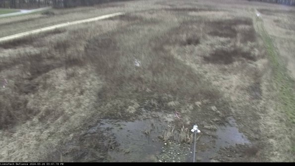 Cell 1_24-03-26_15-01-19-89