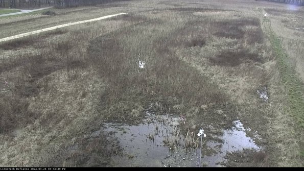 Cell 1_24-03-26_15-34-49-88