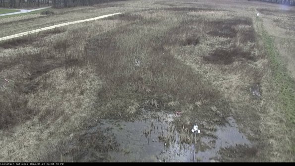 Cell 1_24-03-26_16-08-18-90