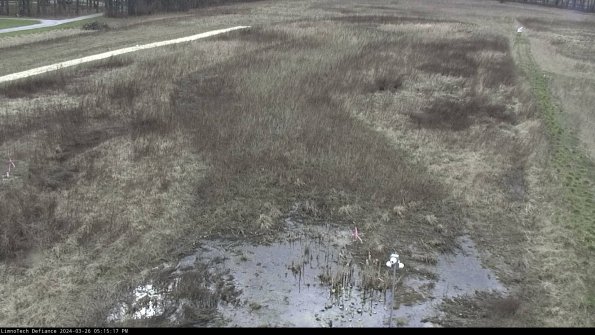 Cell 1_24-03-26_17-15-17-90