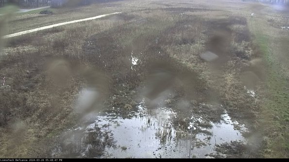 Cell 1_24-03-26_17-48-47-89