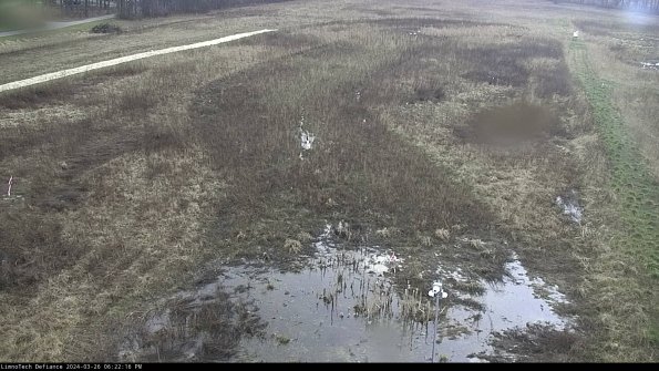 Cell 1_24-03-26_18-22-16-87