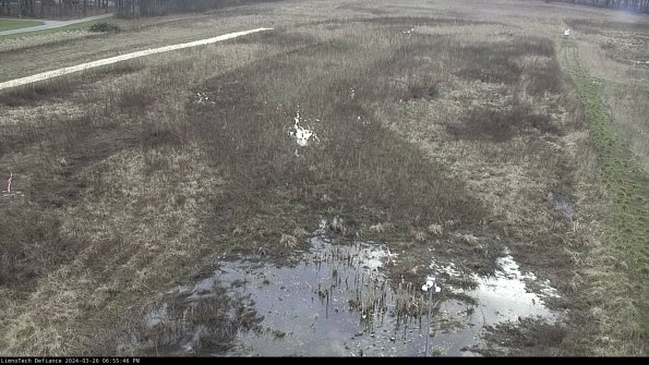 Cell 1_24-03-26_18-55-46-89