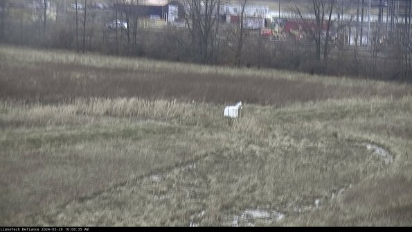 Cell 2 to 3_24-03-26_10-00-36-01