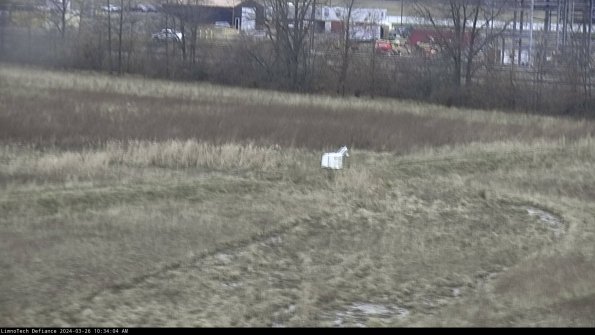 Cell 2 to 3_24-03-26_10-34-05-03