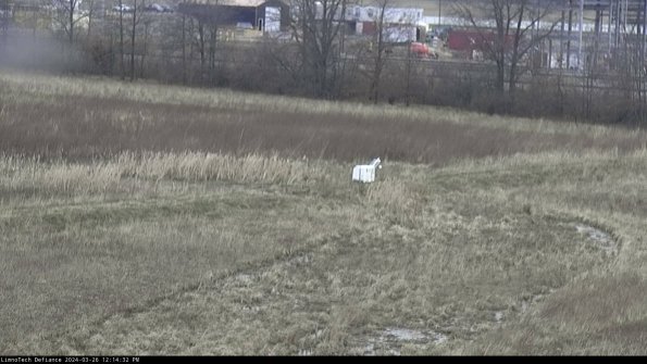 Cell 2 to 3_24-03-26_12-14-33-08