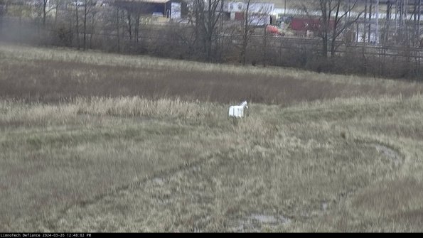 Cell 2 to 3_24-03-26_12-48-02-93