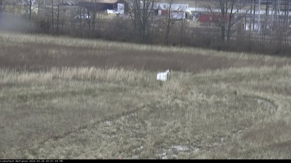 Cell 2 to 3_24-03-26_15-01-59-97