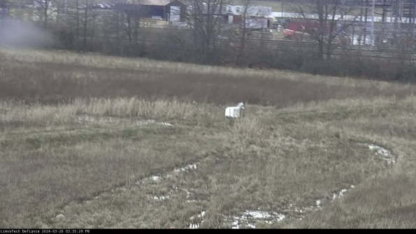 Cell 2 to 3_24-03-26_15-35-29-92