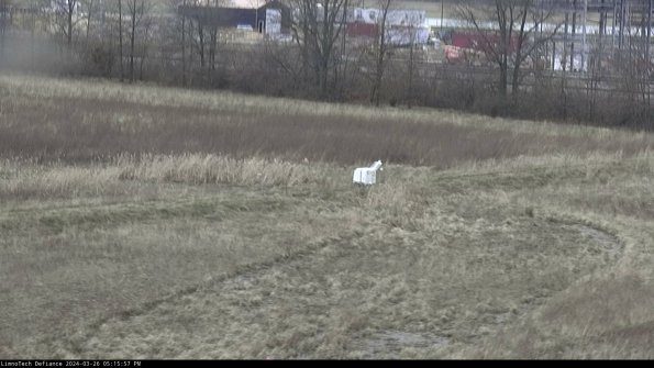 Cell 2 to 3_24-03-26_17-15-58-01