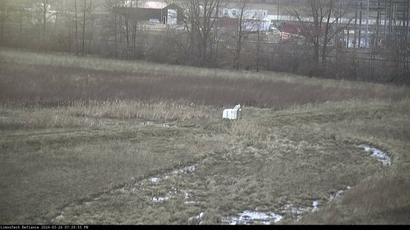 Cell 2 to 3_24-03-26_19-29-55-98