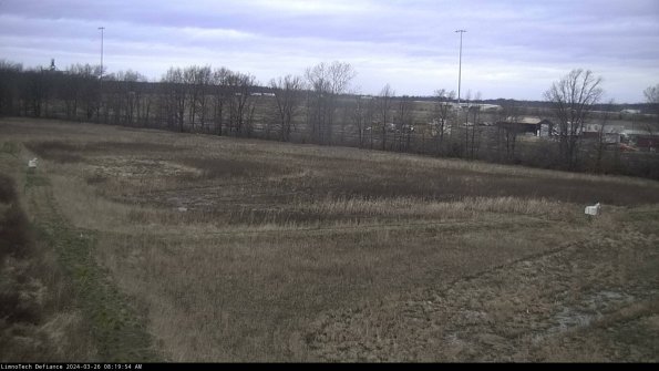 Cell 2_24-03-26_08-19-54-98