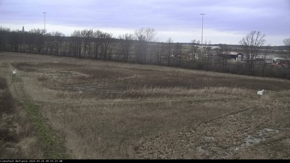 Cell 2_24-03-26_08-53-23-96