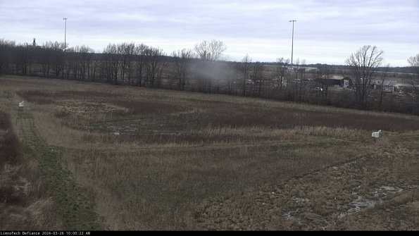 Cell 2_24-03-26_10-00-22-90