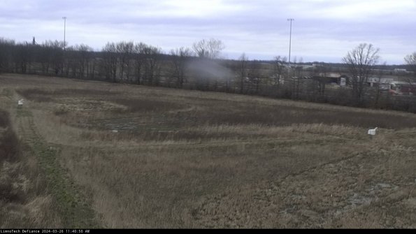 Cell 2_24-03-26_11-40-50-92